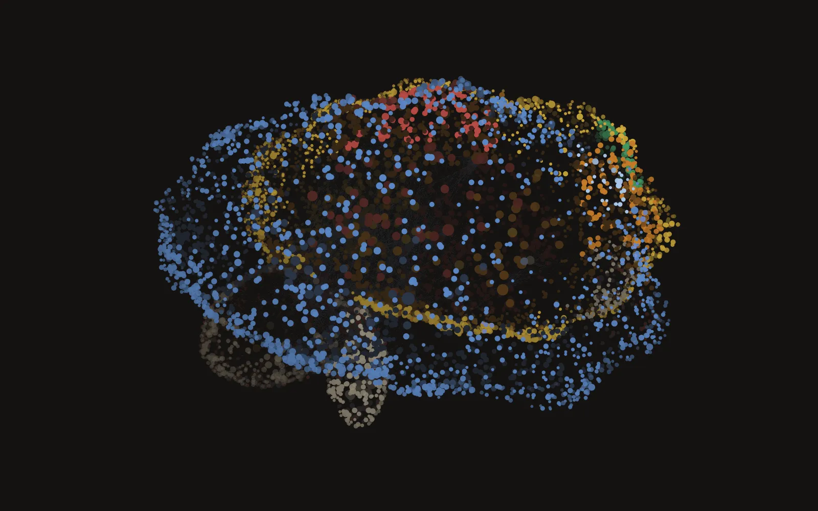 The vault drawn as a brain: several thousand dots on a brain-shaped surface, joined by faint fibres and coloured by region — a navy left hemisphere of work notes, a gold right hemisphere of research domains, red people-notes along the midline, amber knowledge at the front, a grey archive tucked under the back as the cerebellum.